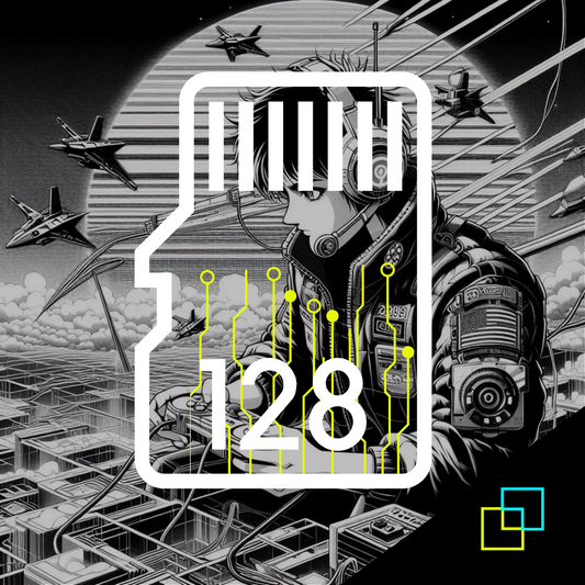 Anbernic memory card